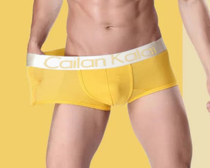 Men's Underwear Boxers Modal Breathable Boxer 39bb7710 1fbf 4680 8988 6a1d761ff8a2 trans