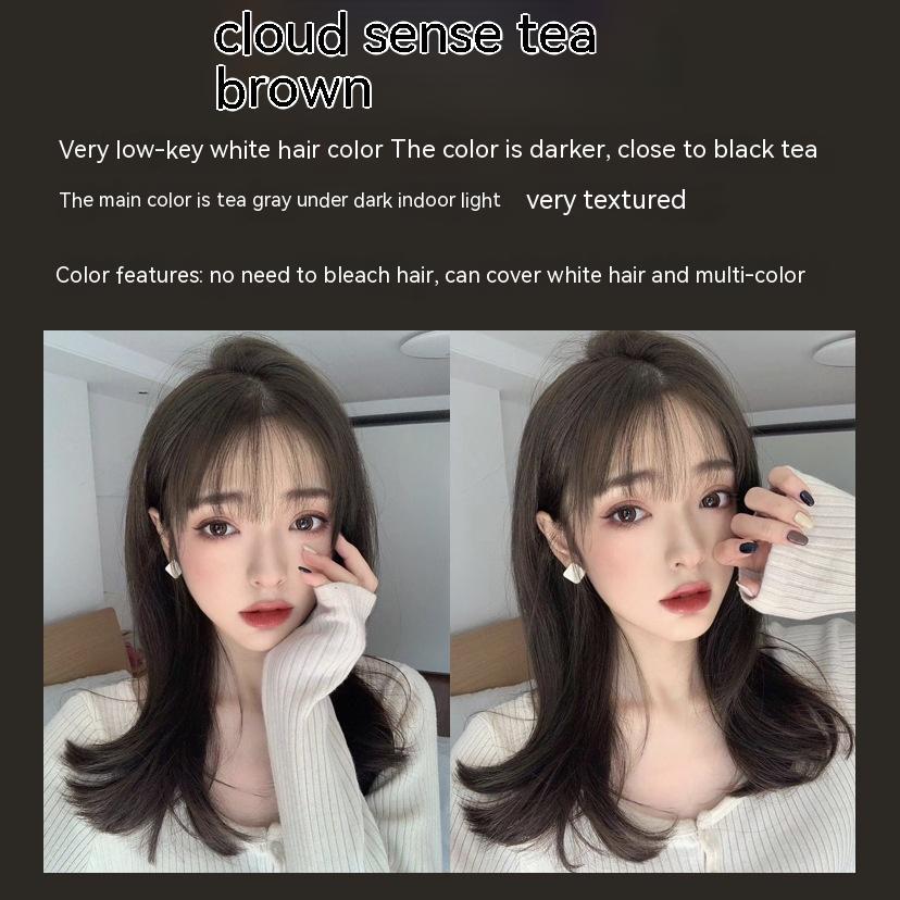 Ammonia-free Hair Color Paste Monochrome Paste Cover White Hair Multi-segment Color One-step Black Tea Gray Blue Black Hair D