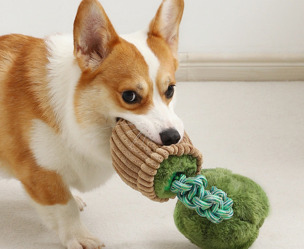 Pet Dog Bite-resistant Cord Teether Knot Toy 3aba2eac d630 4def 96bb a28ba5f6a1bb