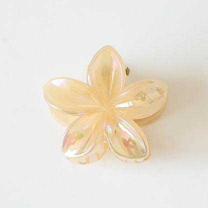Retro Sweet Hair Claw Clip Women's Side Grip 3ad3481a 61b6 4538 b83d 9f18504239ab