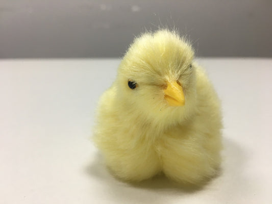 Animal Doll Children Teaching Static Model Chick Decoration 3b018cab c33f 4df8 a08b 026a96f69693