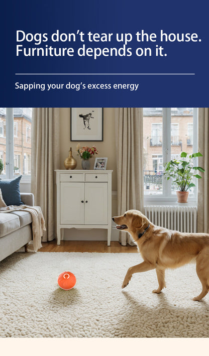 Intelligent Gravity Bouncing Ball Dog Toy Ball