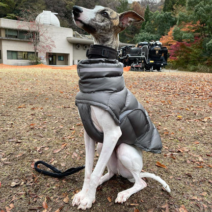 Dog Clothes Thickened Thermal Vest Cotton Coat 3b9c109d b53f 442e 9d97 7a95f7262615