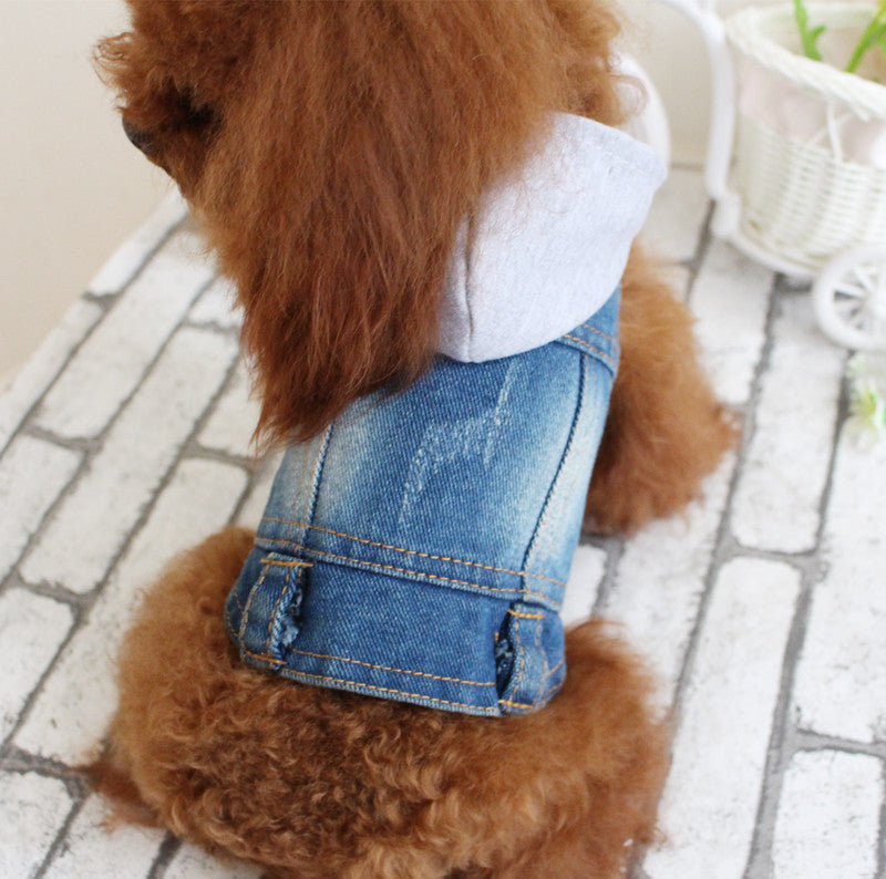 Summer Bichon Hooded Cowboy 3cef710f 4489 4252 b35a 82a30900b20a