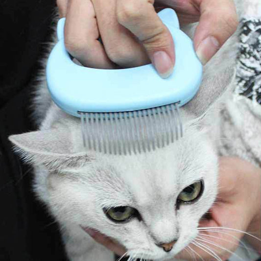 Cat Massage Comb 3dfdb2ea f93f 4ddb b622 0bcafa17477c