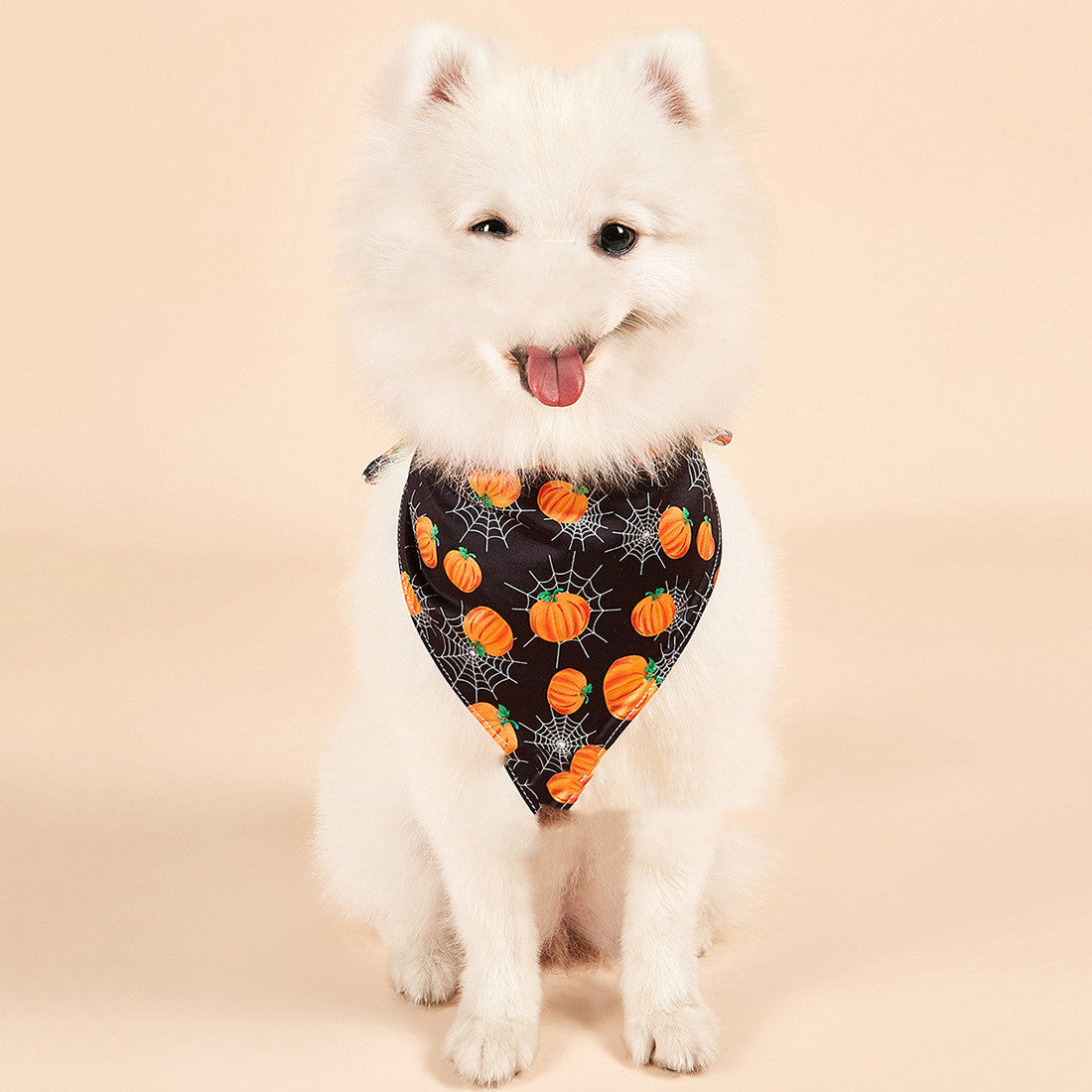 Halloween Double-sided Saliva Towel Pet Accessories 3e069bd9 0020 4984 939f 1b4c46cdfbe3