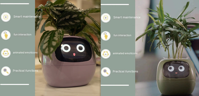 Smart Planter Endless Fun Over 49 Rich Expressions 7 Smart Sensors And AI Chips Make Raising Plants Easy And Fun 3e378b07 09b