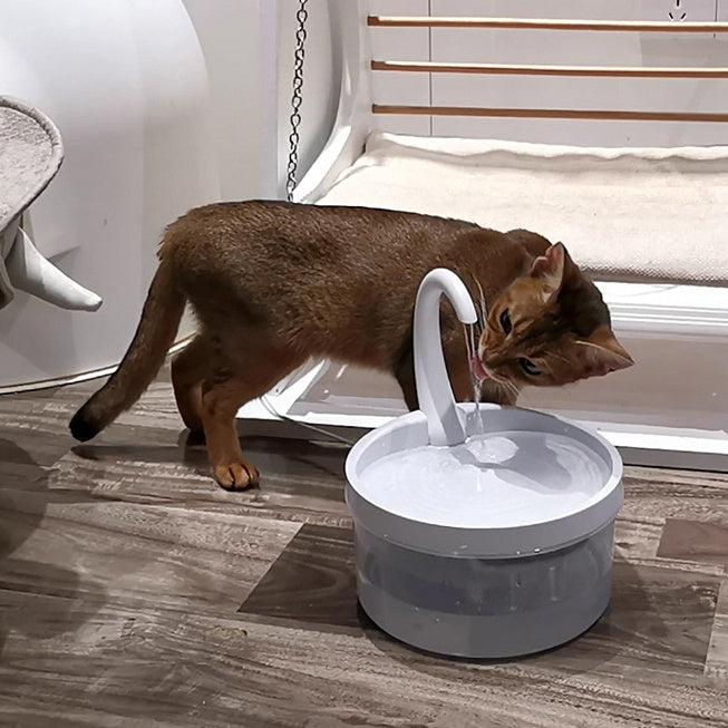 Automatic Circulation Drinking Fountain Drinking Fountain Pet 4064347609952