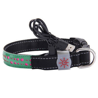 LED light collar pet collar 4173167390550