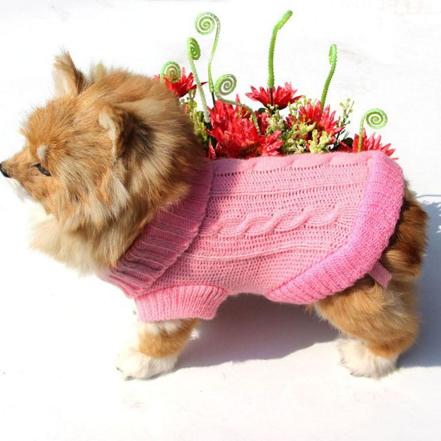 Dog sweater 423112594100