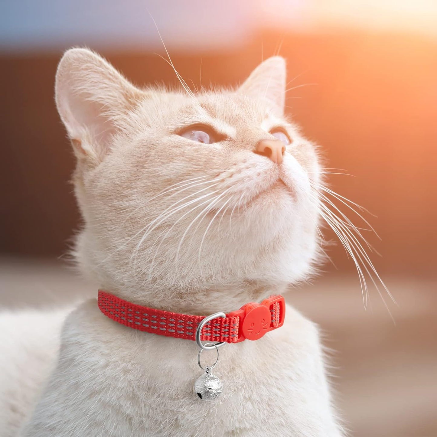 Pets Comfortable Breathable Nylon Cat Collar Pet Products
