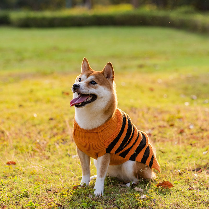 Halloween Dog Sweaters Pet Costume Teddy Warm Leisure Sweater Cosplay Clothes For Dogs Pets Outfits 43532f91 9305 404b a4db 3