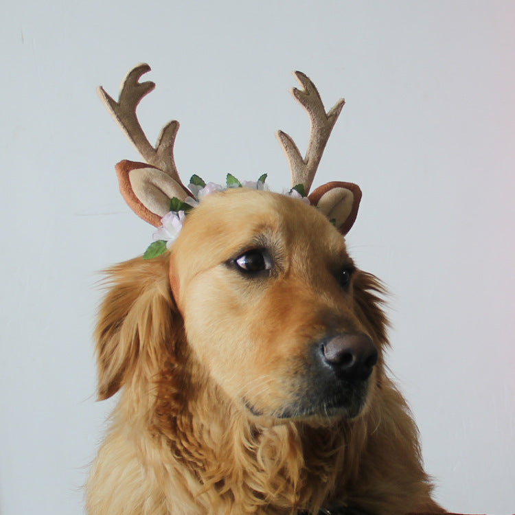 Christmas pet cat dog hat 4390762438 1798973395