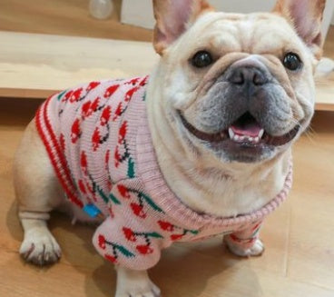 Christmas pet dog clothes 44091f09 4cb0 4466 a0d7 b17cc322a547