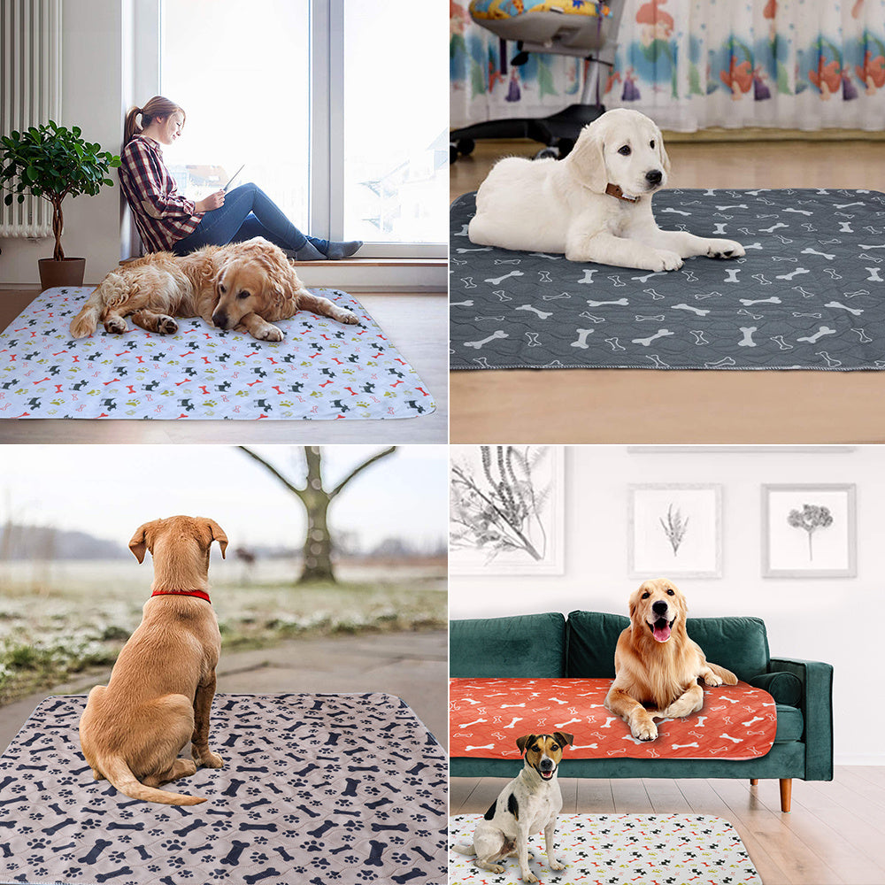Reusable dog diaper pad 4452803079816