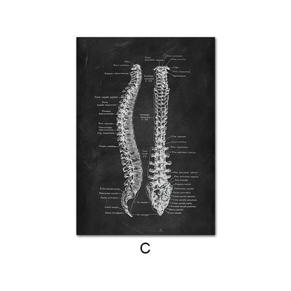 Canvas Painting Of Human Anatomy Skeleton Organ System - 图片 8