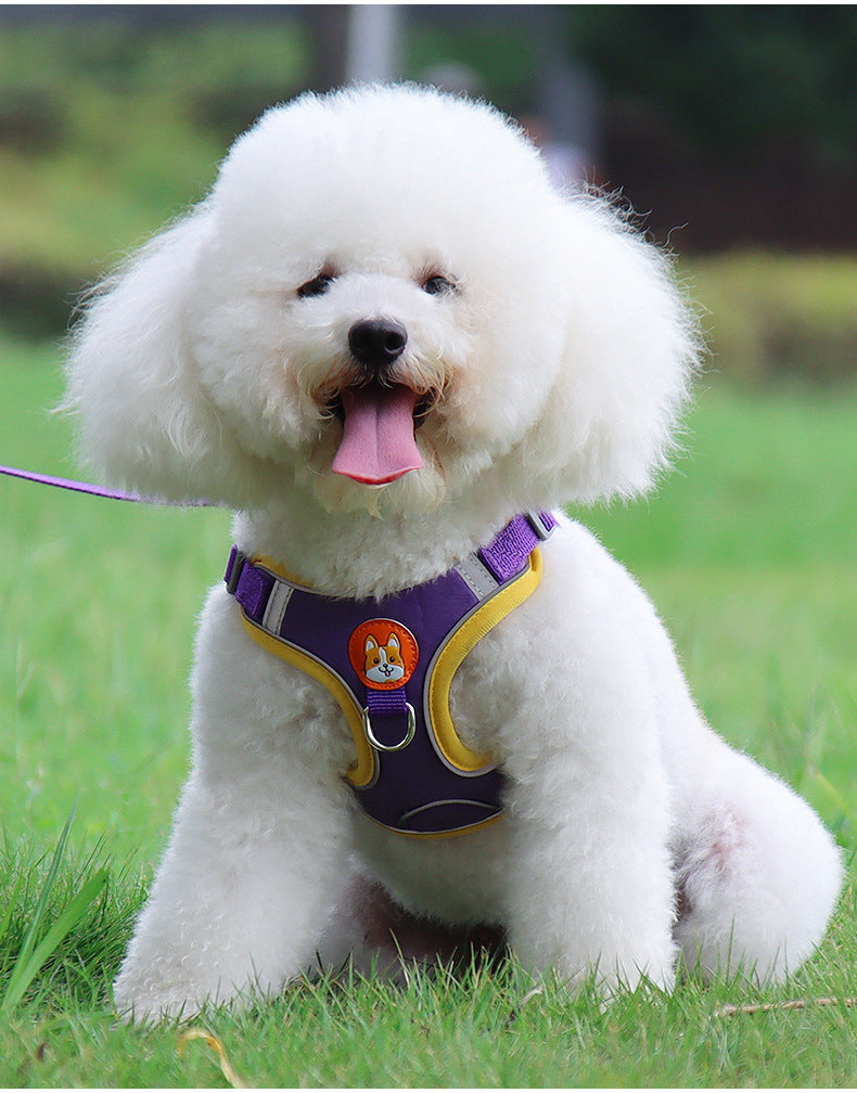 Dog Harness Cat Harness Reflective Dogs Leashs Soft Mesh Chest Strap 45507ed8 4e60 450c 9707 48f63a5488ad