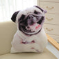 Funny 3D Dog Print Throw Pillow Creative Cushion Cute Plush Doll Gift Home Decor 4623833223 1954566831
