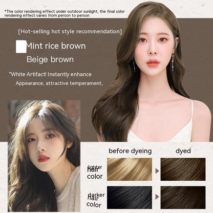 Ammonia-free Hair Color Paste Monochrome Paste Cover White Hair Multi-segment Color One-step Black Tea Gray Blue Black Hair D