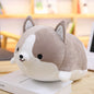 Down Cotton Dog Doll Pillow Plush Toy 4685654512430