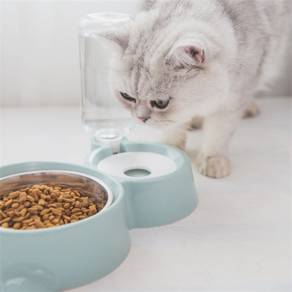 Dog bowl 4734593843103