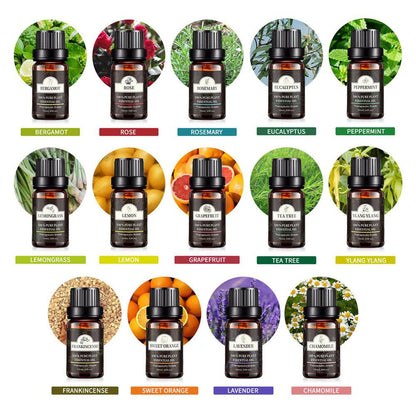 Single Essential Oil Set 10ml Single Essential Oil Plant Aroma Tea Tree 4758993f c045 4289 908a 9273aa2580b9