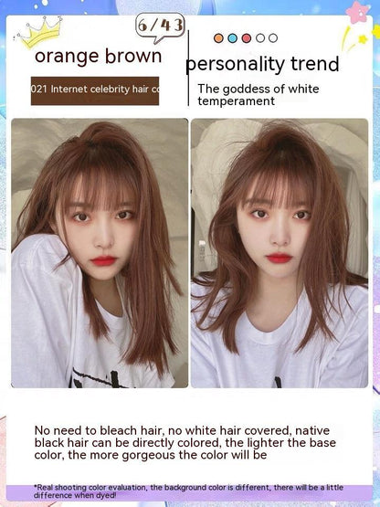 Ammonia-free Hair Color Paste Monochrome Paste Cover White Hair Multi-segment Color One-step Black Tea Gray Blue Black Hair D