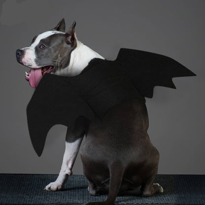 Pet bat wings clothes 482829875925