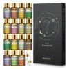 Evoke Occu Scented Candle Essential Oil 10Ml Fragrance Oil Fragrance Oil Diffuser Essential Oil 4865be44 e8c3 4e32 b666 b5336