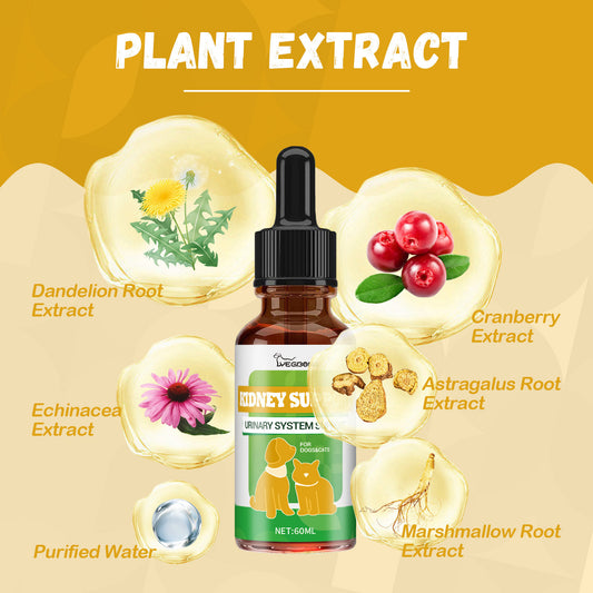Pet Nutritional Supplements Enhance Energy Vitality 4944be3d c0a7 4baa a1ee cd87bb0960e6