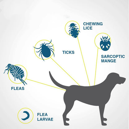 Cat ring dog ring flea and tick prevention child collar 4945240823037