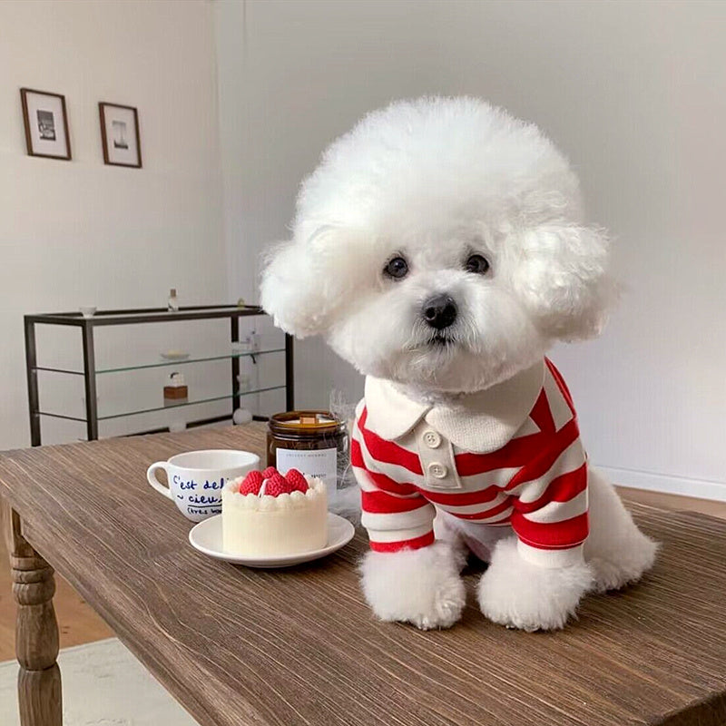 Pomeranian Poodle Small Dog Cat Dog Clothing 494c8257 3e01 4191 8e5b 13c8b91348c4