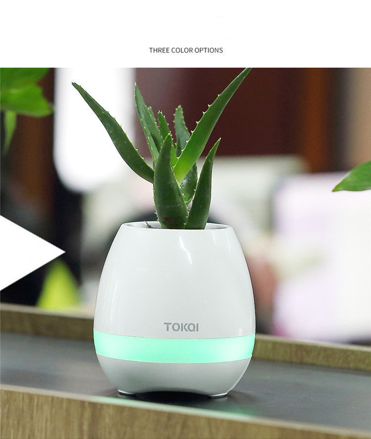 Touch-sensitive music vase desktop audio 497951276779