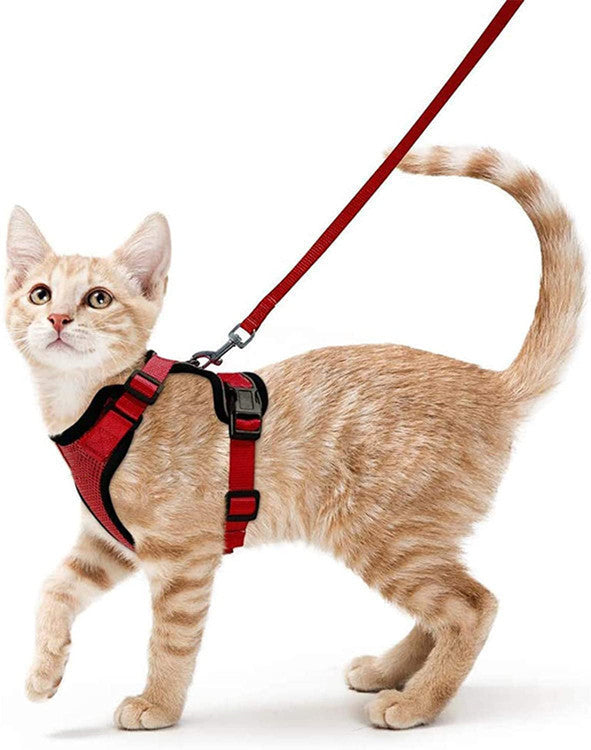 Breathable Chest Strap Reflective Anti Breaking Loose Hand Holding Rope 49913a3f 4531 4c50 82a2 3969deadb985