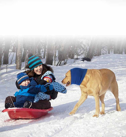 Simple Pet Dog Comfort Headgear Bib 4a24e3b0 1aa3 4ed3 8905 1cf8bd5983f8