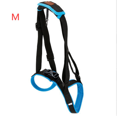 Pet Leg Strap Walking Support Dog Leg Support 4ae79348 86d2 4b22 97c7 a2c1039d1eb1