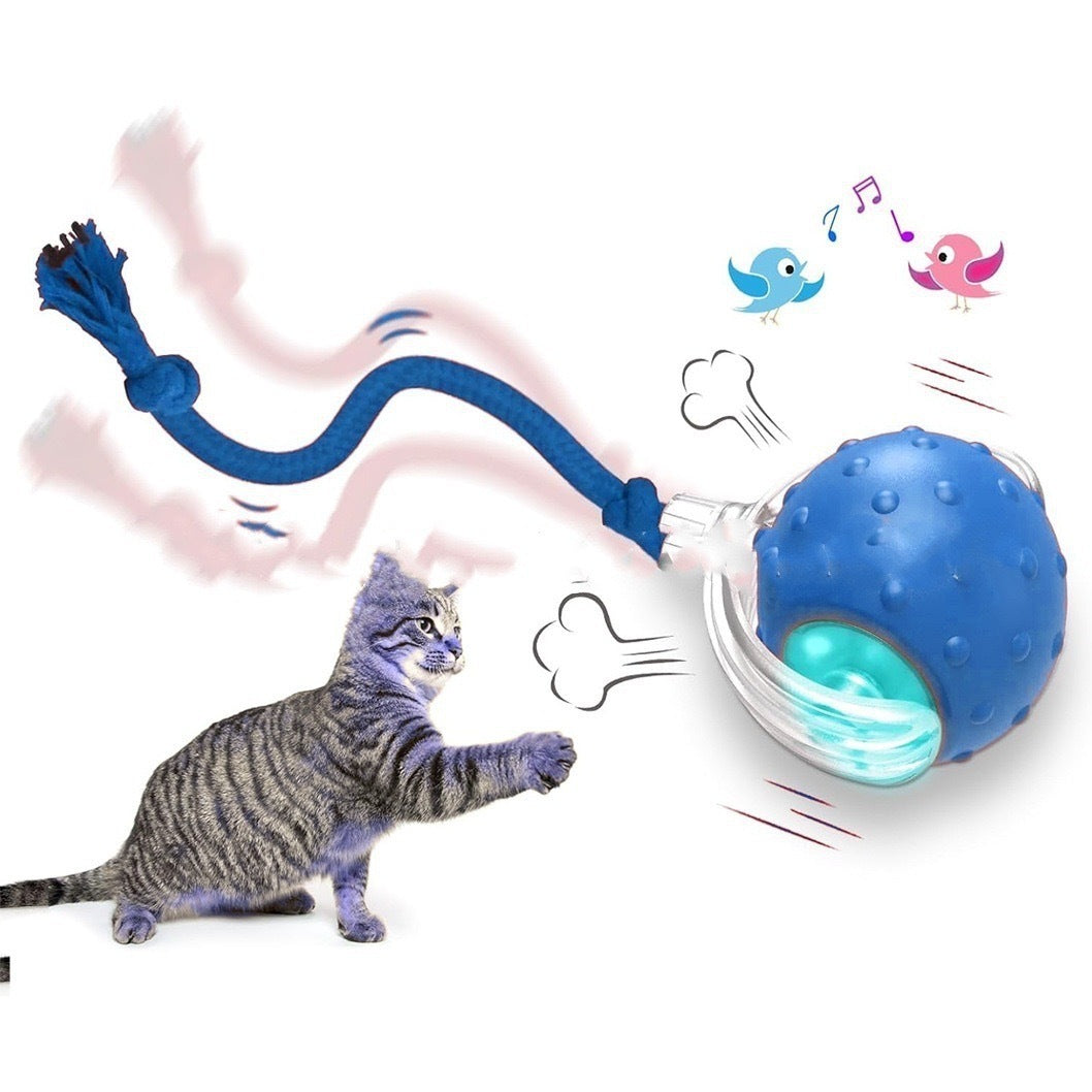 Interactive Cat Toy Ball Super Drive Cat Rolling Ball 4ce76936 9785 40c3 ab4f d735d370313a