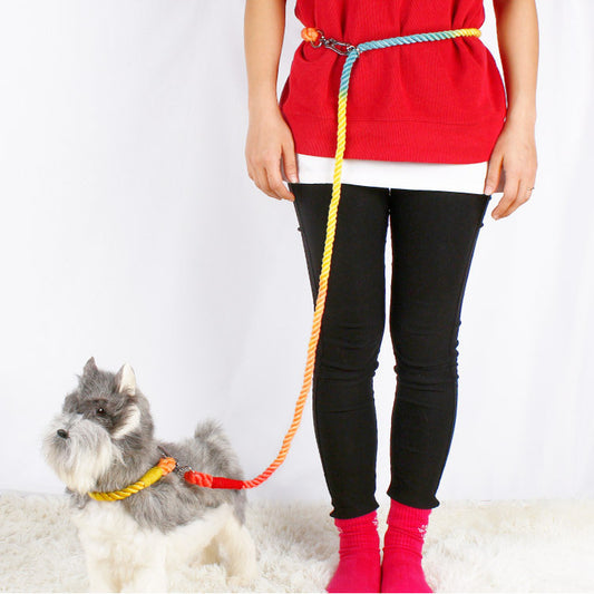 Multifunctional Braided Double-ended Dog Leash 4d6591a7 a580 46e8 ba43 df14579014af