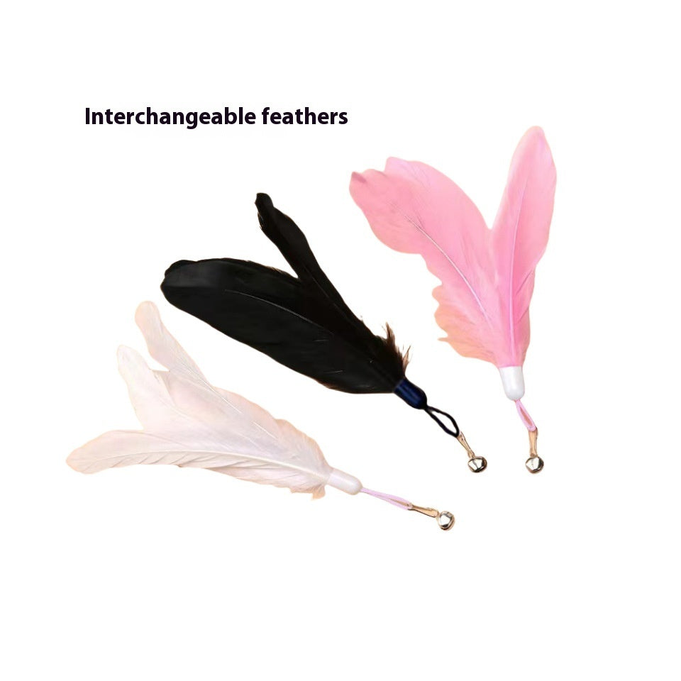 Cat Teaser With Bell Long Brush Holder Suction Cup Self-Hi Bite-resistant Feather 4db052e8 7164 4474 9a8a 9f63a6d4e70e trans