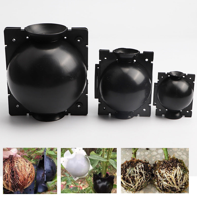Plant High Pressure Propagation Box Tree Grafting Growth Ball 4e2d83e9 358a 4feb 8329 7784c43e4d0a