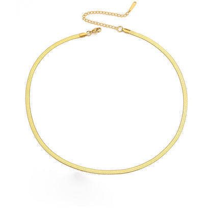 Titanium Steel Flat Snake Bone Chain Women's Short Necklace 4e5d7a89 2061 4e8c 888f 6803c8c1a40c 9bb92a8a 4cfa 48a5 bf32 152e