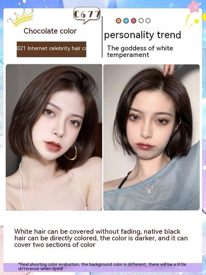 Ammonia-free Hair Color Paste Monochrome Paste Cover White Hair Multi-segment Color One-step Black Tea Gray Blue Black Hair D