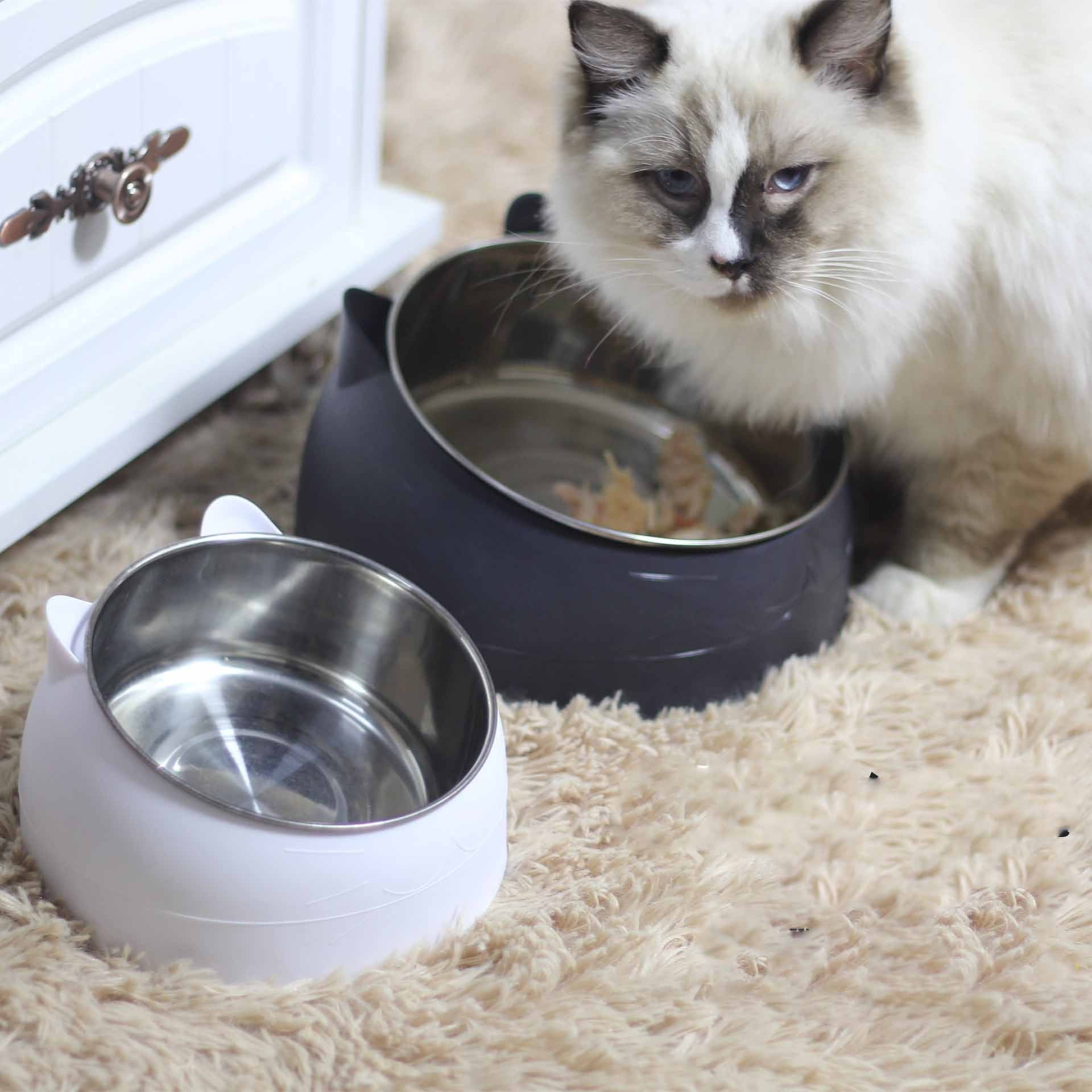 200mlStainless Steel Oblique Mouth Pet Cat Bowl - HD Wireless Product #2