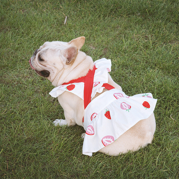 Lotus Leaf Lace Suspender Skirt Fadou Sherry Teddy Small And Medium Sized Dog, Cat And Dog Clothes Bago Strawberry Print 5054