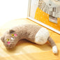 Cat Toy Pillow Shaped Funny Funny Stick Pet Supplies 50c9e28f 5722 4ae7 a189 212d4dcde9ab