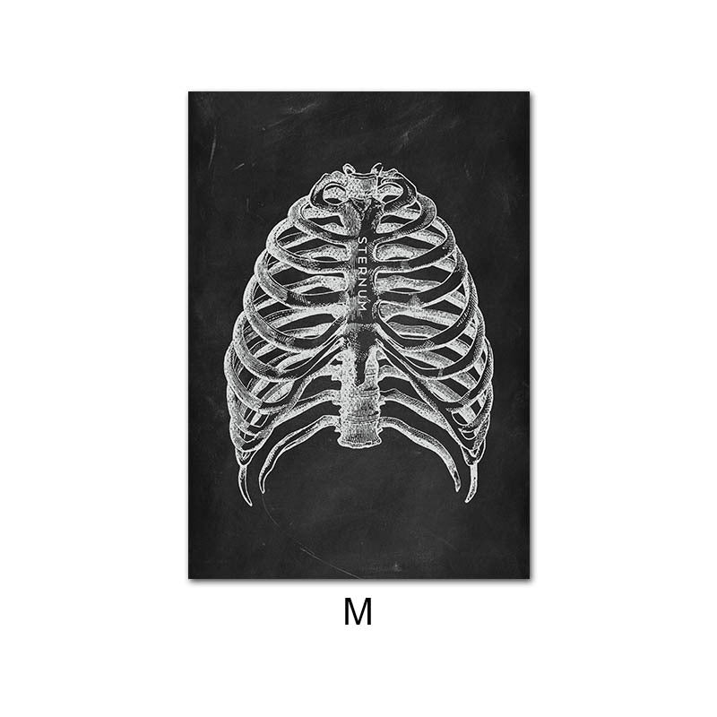 Canvas Painting Of Human Anatomy Skeleton Organ System - 图片 2