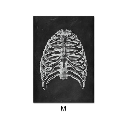 Canvas Painting Of Human Anatomy Skeleton Organ System - 图片 2