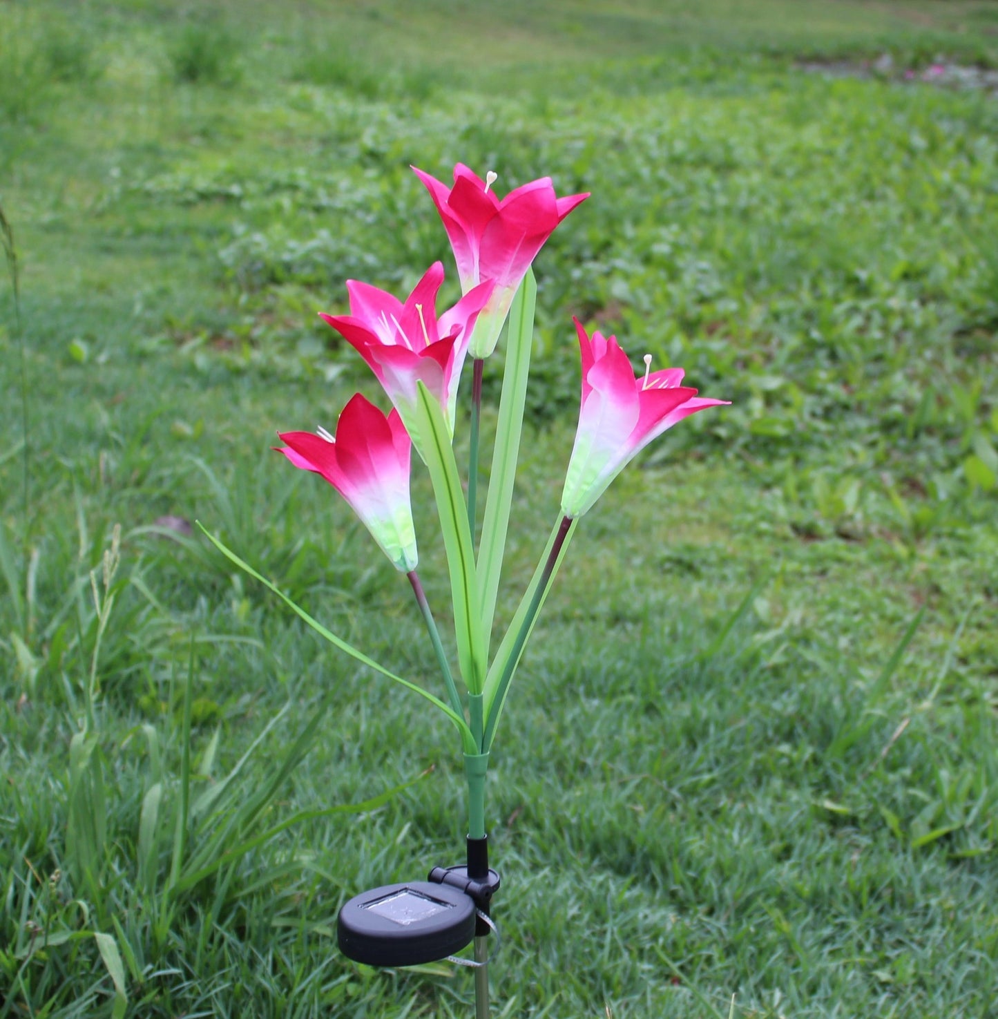 Solar Lily Colorful LED Artificial Lantern 5151885c 1a2e 45b0 a189 9a59b4a302ff