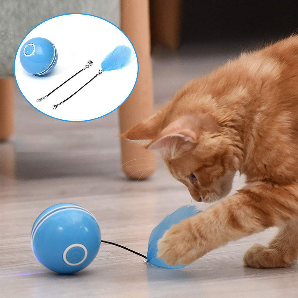 Colorful LED Laser Funny Cat Ball 517309977015