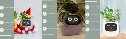 Smart Planter Endless Fun Over 49 Rich Expressions 7 Smart Sensors And AI Chips Make Raising Plants Easy And Fun 51aa8c8c a37